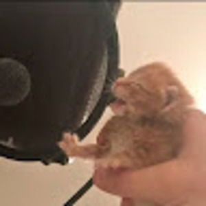 Meet your Posher, Sporadical